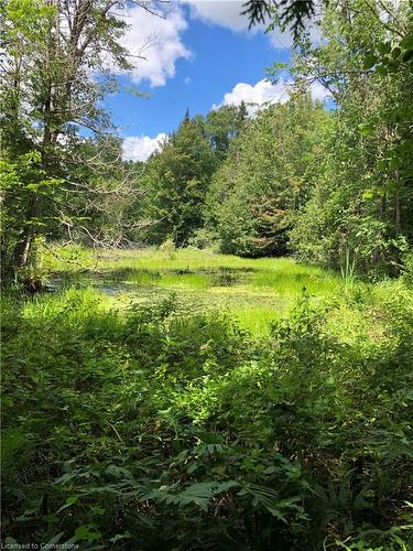 Lot 31 8Th Concession B, Grey Highlands, ON 