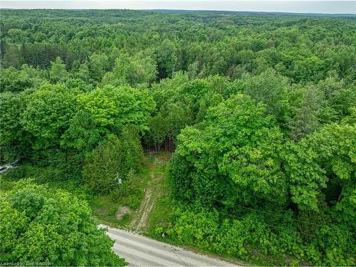 Lot 31 8Th Concession B, Grey Highlands, ON 