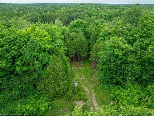 Lot 31 8Th Concession B, Grey Highlands, ON 