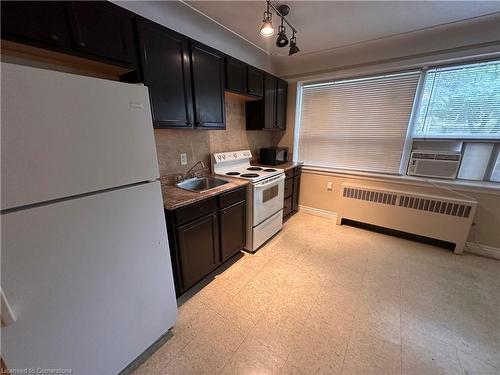 4-119 Macnab Street S, Hamilton, ON - Indoor Photo Showing Kitchen