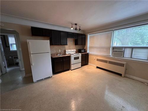 4-119 Macnab Street S, Hamilton, ON - Indoor Photo Showing Kitchen