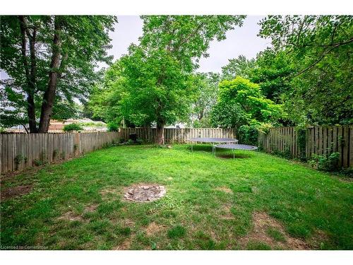 44 Haig Street, St. Catharines, ON - Outdoor With Backyard