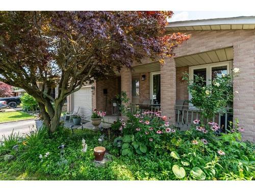 61 Napoli Drive, Hamilton, ON - Outdoor