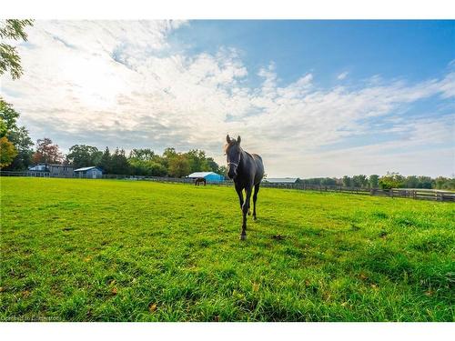 65 7Th Concession Road E, Flamborough, ON - Outdoor With View