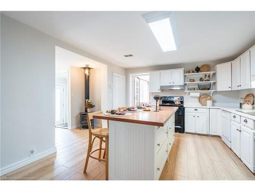 65 7Th Concession Road E, Flamborough, ON - Indoor Photo Showing Kitchen With Double Sink