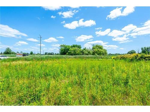 6084 Talbot Road, Cayuga, ON - Outdoor With View