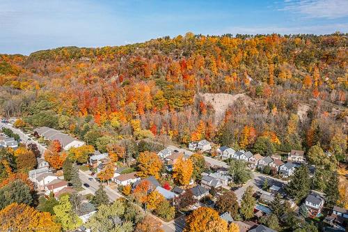 315 Park Street W, Dundas, ON - Outdoor With View