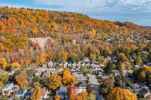 315 Park Street W, Dundas, ON - Outdoor With View