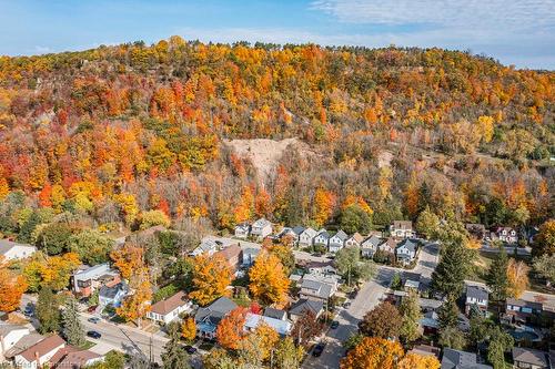 315 Park Street W, Dundas, ON - Outdoor With View