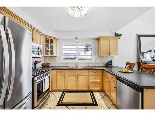 24 Benziger Lane, Hamilton, ON - Indoor Photo Showing Kitchen With Double Sink