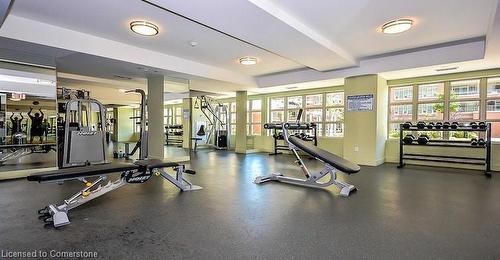 805-85 East Liberty Street E, Toronto, ON - Indoor Photo Showing Gym Room