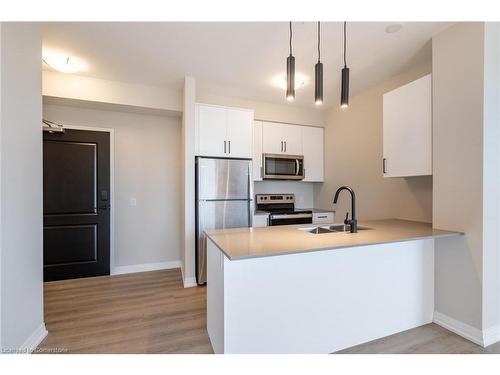 302-120 Springvalley Crescent, Hamilton, ON - Indoor Photo Showing Kitchen With Double Sink