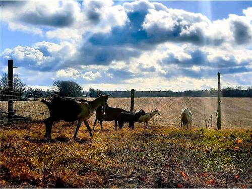 1686 10Th Concession Road, Langton, ON - Outdoor With View