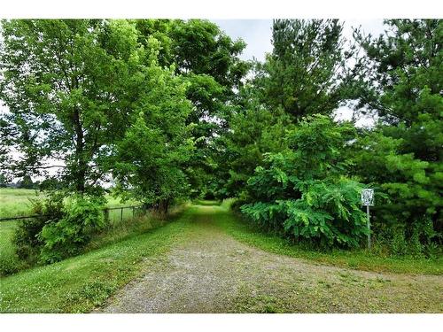 64 Gravenhurst Trail, Hamilton, ON - Outdoor