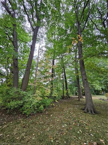 Lot 120 Mohawk Avenue, Fort Erie, ON 