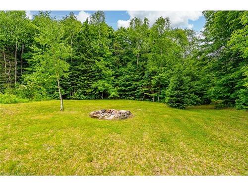 17182 Hwy 118, Haliburton, ON - Outdoor