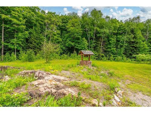 17182 Hwy 118, Haliburton, ON - Outdoor