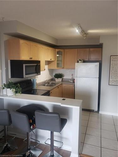 703-30 Summit Avenue, Hamilton, ON - Indoor Photo Showing Kitchen With Double Sink