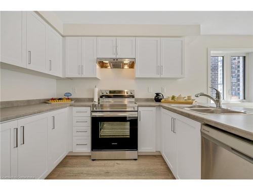 121-13 Roxanne Drive, Hamilton, ON - Indoor Photo Showing Kitchen With Double Sink