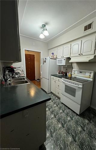 308-11 Woodman Drive S, Hamilton, ON - Indoor Photo Showing Kitchen With Double Sink