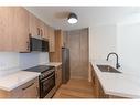 301-11 Robert Street, Hamilton, ON  - Indoor Photo Showing Kitchen 