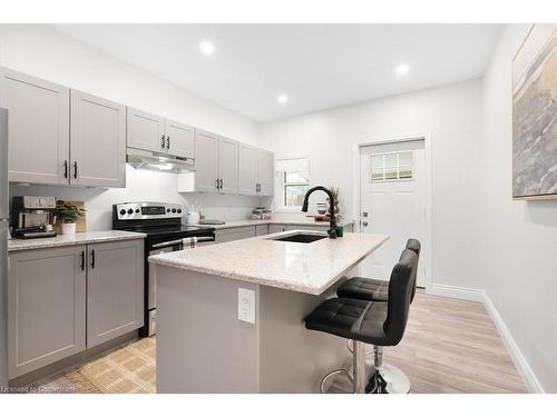 31 William Street, Hamilton, ON - Indoor Photo Showing Kitchen With Upgraded Kitchen