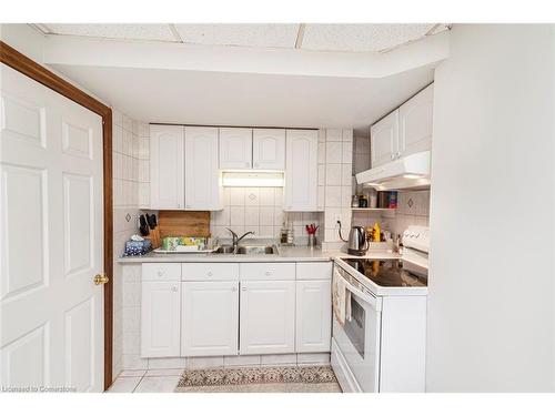 16 Chelsea Crescent, Hamilton, ON - Indoor Photo Showing Kitchen With Double Sink