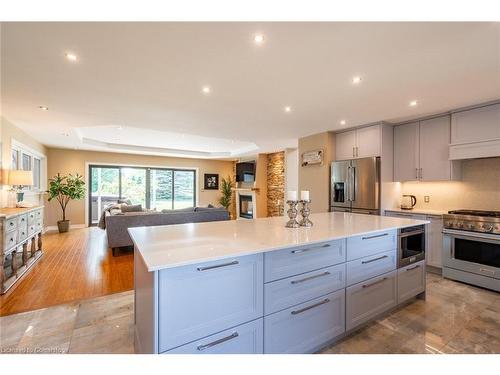 399 Old Brock Road, Flamborough, ON - Indoor Photo Showing Kitchen With Upgraded Kitchen