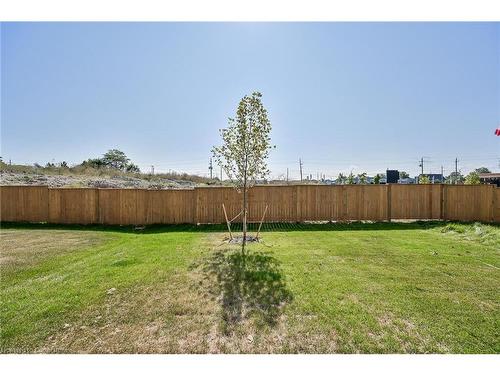 42-61 Soho Street, Stoney Creek, ON - Outdoor With Backyard