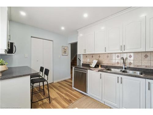 135 Violet Drive, Hamilton, ON - Indoor Photo Showing Kitchen With Double Sink