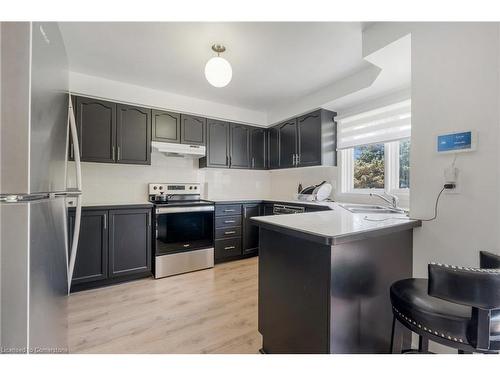 3385 Binbrook Road, Binbrook, ON - Indoor Photo Showing Kitchen With Double Sink