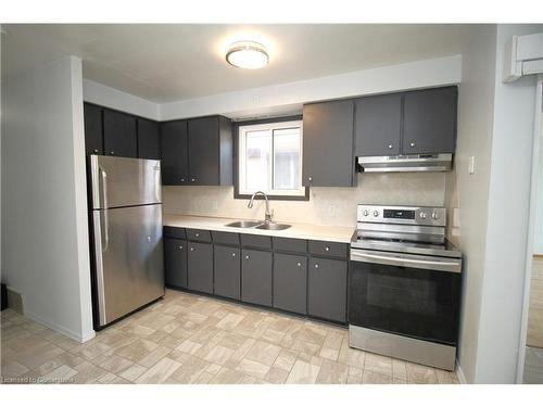 19 Delena Avenue N, Hamilton, ON - Indoor Photo Showing Kitchen With Double Sink