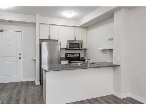 213-35 Southshore Crescent N, Hamilton, ON - Indoor Photo Showing Kitchen With Stainless Steel Kitchen With Double Sink