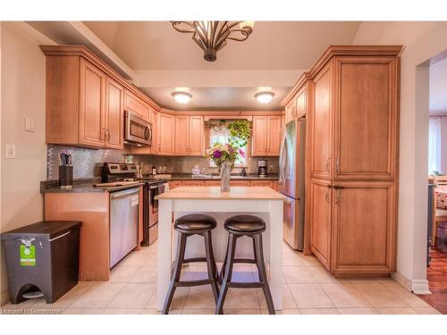 127 Nash Road S, Hamilton, ON - Indoor Photo Showing Kitchen