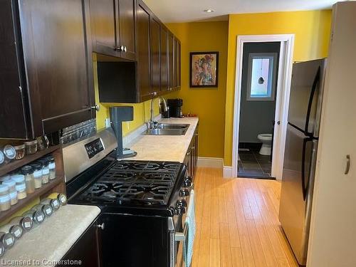 424 King William Street, Hamilton, ON - Indoor Photo Showing Kitchen With Double Sink