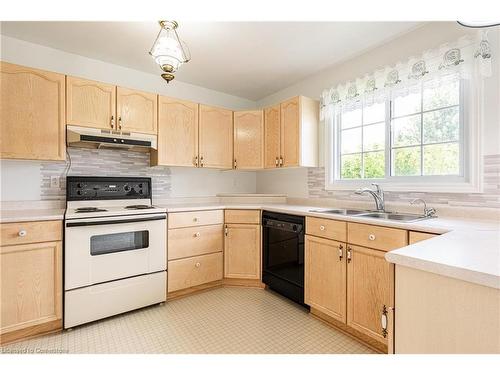 37 Younge Road, Dunnville, ON - Indoor Photo Showing Kitchen With Double Sink