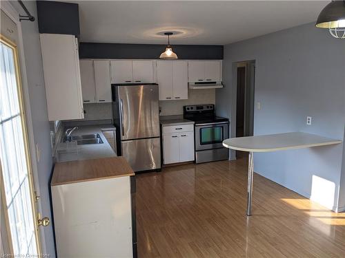 617 16Th Avenue, Hanover, ON - Indoor Photo Showing Kitchen With Double Sink