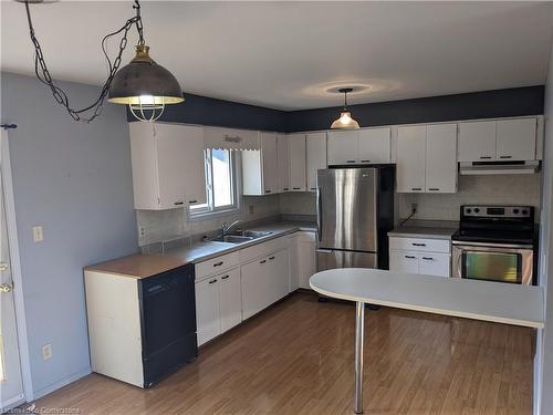 617 16Th Avenue, Hanover, ON - Indoor Photo Showing Kitchen With Double Sink