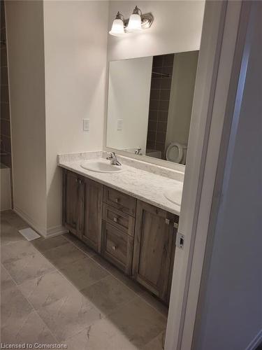 113 Freedom Crest, Hamilton, ON - Indoor Photo Showing Bathroom