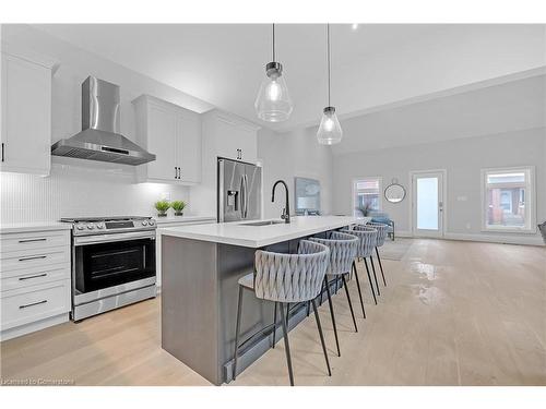 29 Magill Street, Hamilton, ON - Indoor Photo Showing Kitchen With Upgraded Kitchen