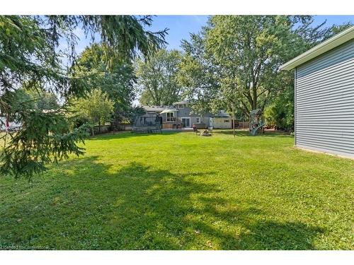 2 Carey Street, Waterdown, ON - Outdoor With Backyard