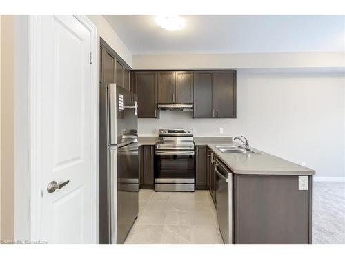 19 Genoa Drive, Hamilton, ON - Indoor Photo Showing Kitchen With Double Sink