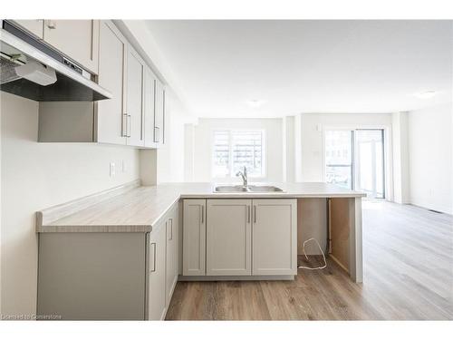 118-21 Roxanne Drive, Hamilton, ON - Indoor Photo Showing Kitchen With Double Sink