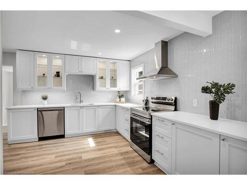 356 Aqueduct Street, Welland, ON - Indoor Photo Showing Kitchen With Upgraded Kitchen