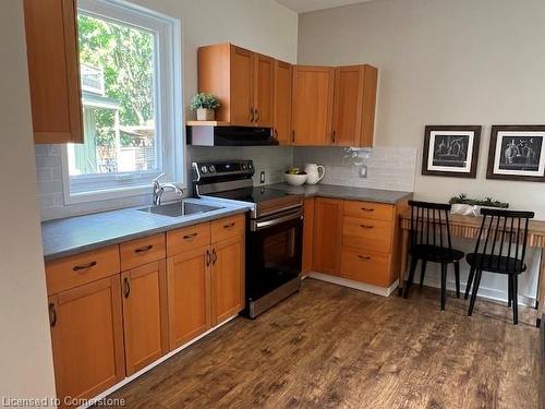 27 Woodbine Crescent, Hamilton, ON - Indoor Photo Showing Kitchen With Double Sink