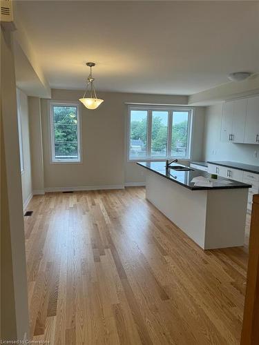 1451 National Common, Burlington, ON - Indoor Photo Showing Kitchen