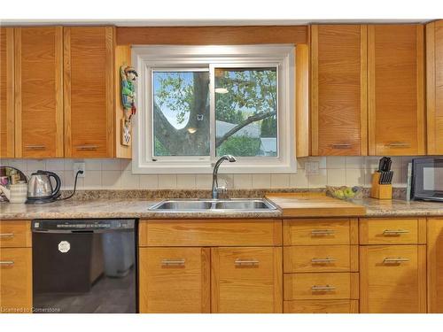 65 Maple Drive, Stoney Creek, ON - Indoor Photo Showing Kitchen With Double Sink