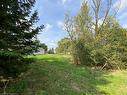 Lot 10-46 Echo Street, Cayuga, ON 