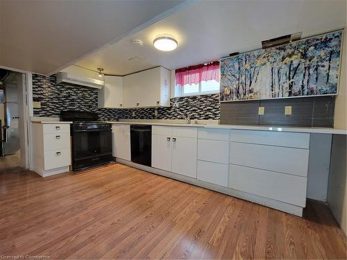 Lower Leve-271 Quigley Road, Hamilton, ON - Indoor Photo Showing Kitchen