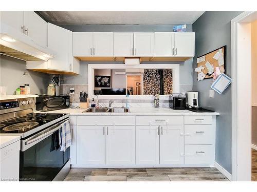 310 Rawdon Street, Brantford, ON - Indoor Photo Showing Kitchen With Double Sink